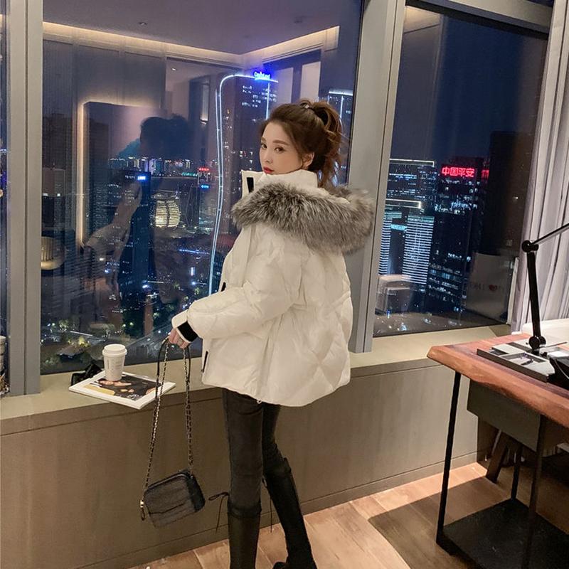 Winter Padded Down Coat Women's Short Bread Coat All-match Fur collar hood Cotton Coat