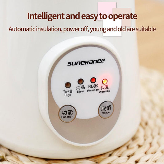 Electric Cooker Baby Porridge Porridge Mini Automatic Baby Food Supplement BB Soup Pot Ceramic Stew