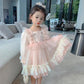 Girls Embroidery Dress Children's Cute Puff Skirt Mesh Princess Dress Baby Girl Spring Dress Long Sleeve Lace Pink Dress