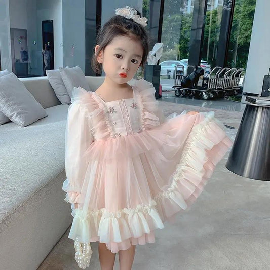 Girls Embroidery Dress Children's Cute Puff Skirt Mesh Princess Dress Baby Girl Spring Dress Long Sleeve Lace Pink Dress