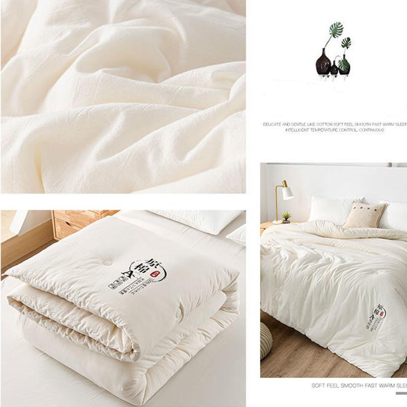 Skin-friendly Class A Antibacterial Soy Quilt Four Seasons Single Double Winter Quilt Core Spring and Autumn Was Taken By The Summer Dormitory