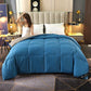 Cotton Down Quilt White Goose Down Thickened Warm Winter Quilt Double Quilt Core Dormitory Four Seasons Quilt
