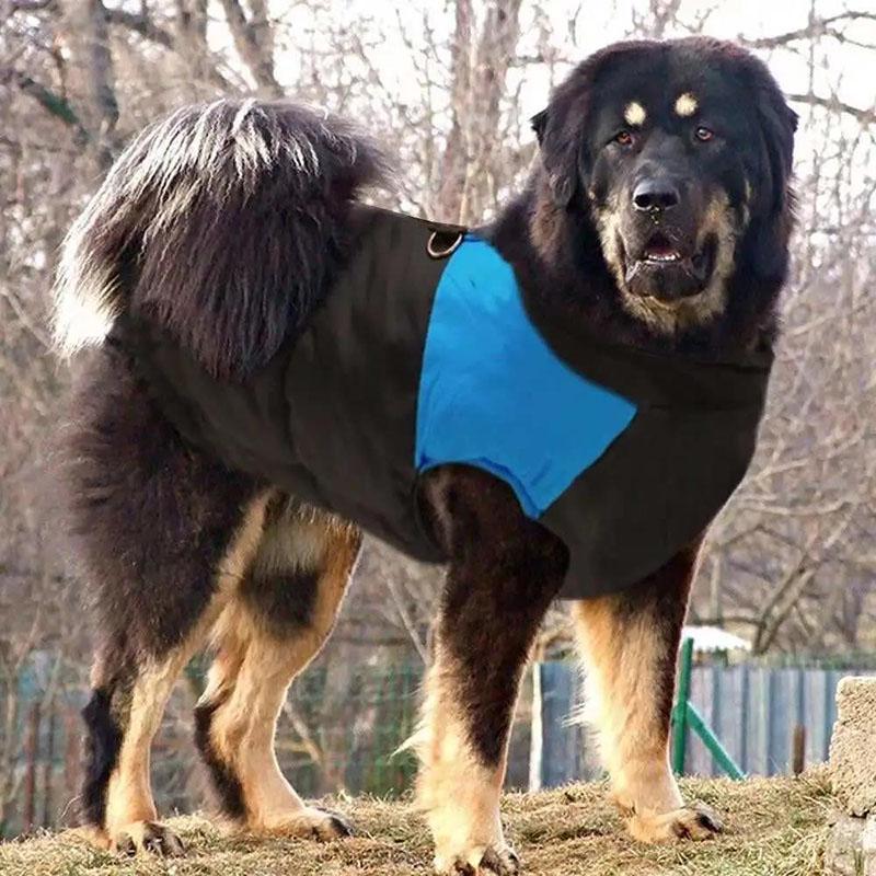 Pet's Waterproof Warm Clothes Winter Puppy Color Stitching Zipper Cotton Vest Soft Casual Oversize Jacket Dog's Ski Suit