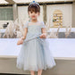 Girls Net Yarn Dress Banquet Evening Dress Children's Birthday Party Western Style Fairy Princess Dress Girl