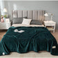 Winter Coral Fleece Blanket Plus Velvet Thick Double-sided Fleece Sheets Flannel Dormitory Single Bed Blanket