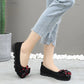 Women's Spring and Summer Soft Bottom Mesh Single Shoes Large Size Shoes Middle-aged and Elderly Mesh Shoes Non-slip Breathable