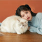 Sweater Women's Autumn Winter Outer Wear Knit Sweater Tops Pullover Gentle Style Long-sleeved Bottoming Shirt Women
