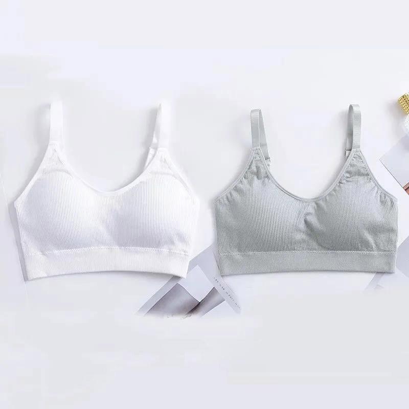 Two-piece Sports Beauty Back Tube Top No Steel Ring Camisole Gathered Anti-shrinking Wrap Chest Can Be Worn Outside Women's Underwear Bra