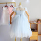 Girls Net Yarn Dress Banquet Evening Dress Children's Birthday Party Western Style Fairy Princess Dress Girl