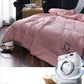 Summer Soft Washed Cotton Skin-friendly Down Velvet Quilt Machine Wash Single Double Air-conditioned Quilt Student Spring and Autumn Quilt