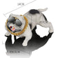 Car Decoration Creative Sunglasses Dog Car Central Control Personality Decorative Toy Car Supplies Small Decoration