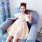 Girls Dress Summer Temperament Solid Color Retro Style Puff Sleeve Princess Dress 4-8 Years Old Girl Sweet Dress A-line Skirt