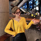 Spring and Autumn Clothing Net Red Knitted Cardigan Female Korean Version of The Western Style V-neck Wild Long-sleeved Bottoming Shirt Top