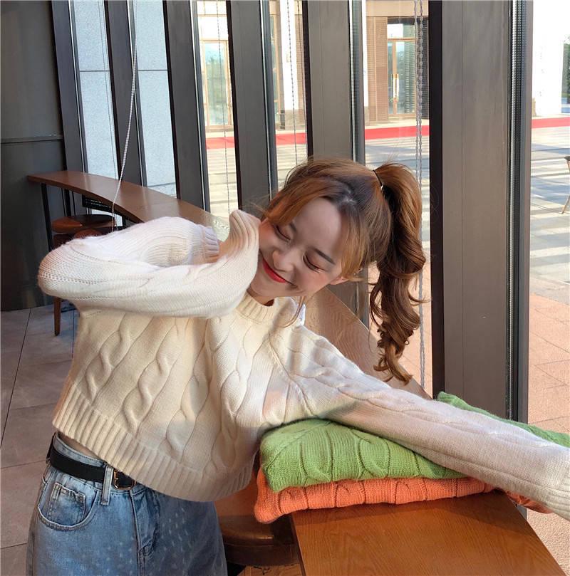 Winter Turtleneck Pullover Sweater Loose Short Sweaters Fashion Elegant Long Sleeve Warm Jumper