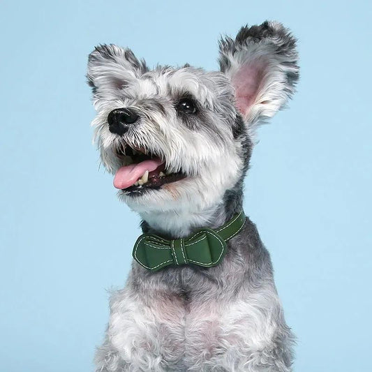 Pet Cat Dogs Cute PU Bow Tie Collar Small Dog Teddy Bichon Walking Collar Solid 4 Colors Adjustable Size Neck Decor Pet Bowtie Necklace Kitten Collar