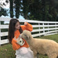 Pofulove Orange sweater women loose lazy wind hedging sweet candy-colored sweater students thickened