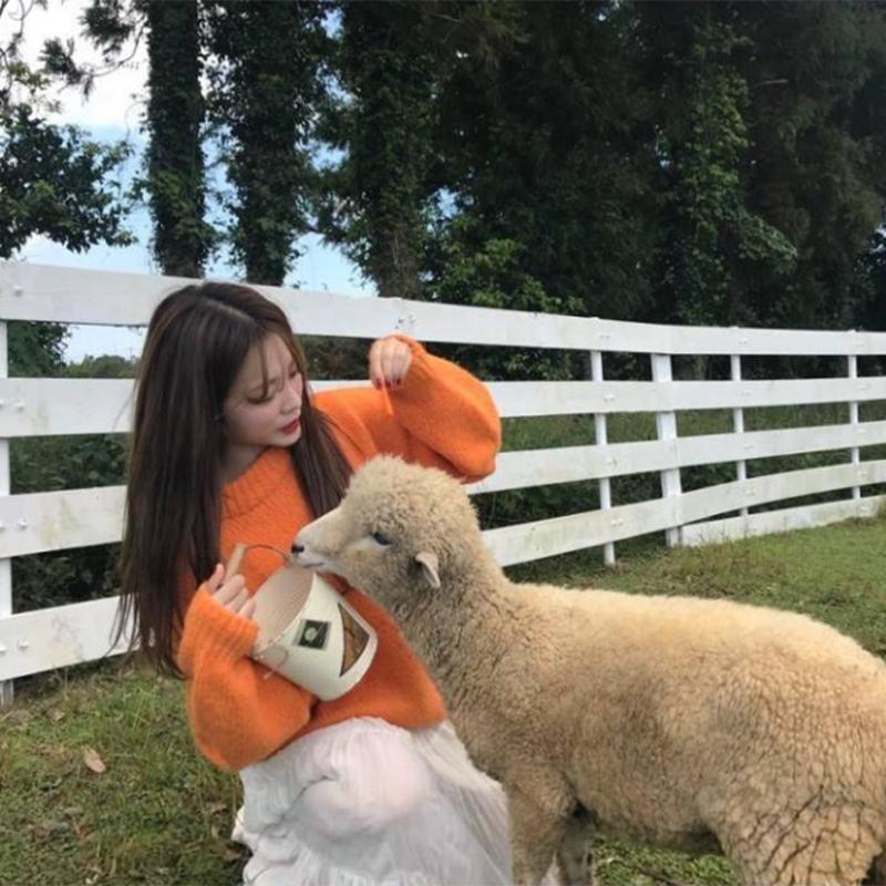 Pofulove Orange sweater women loose lazy wind hedging sweet candy-colored sweater students thickened