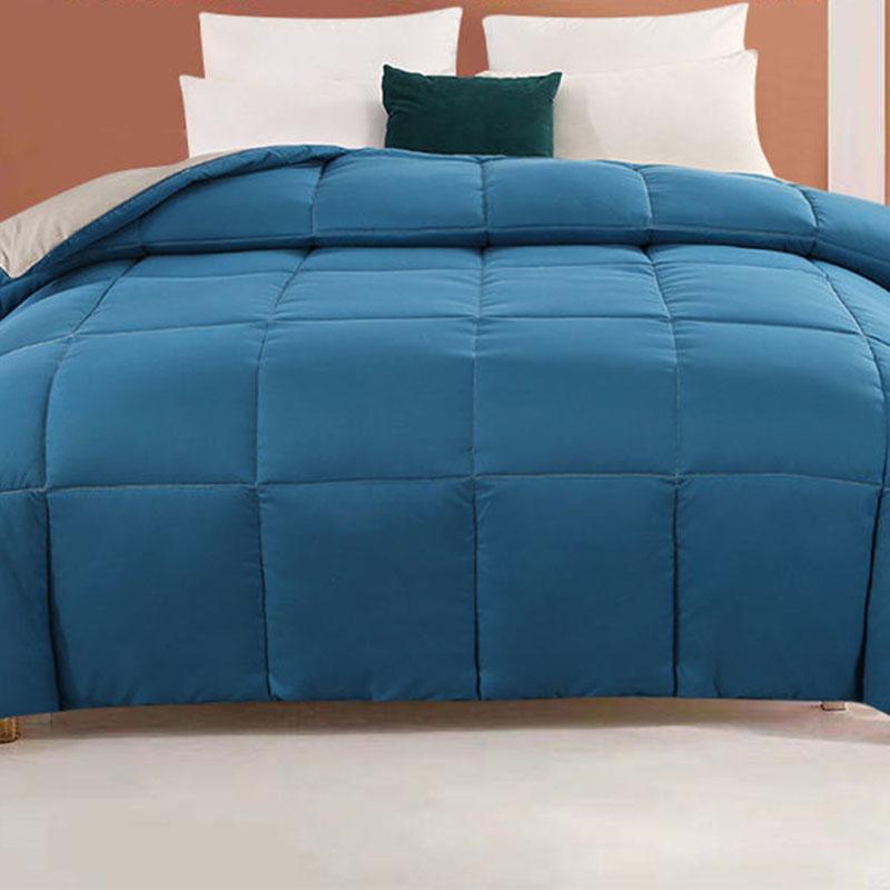 Thickened Warm Down Quilt Antibacterial Solid Color Large Quilt Household Bedding