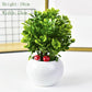 Desktop Decorations Mini Potted Ornaments Creative Simulation Succulents Bonsai Ceramic Pots Succulent