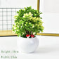 Desktop Decorations Mini Potted Ornaments Creative Simulation Succulents Bonsai Ceramic Pots Succulent