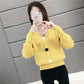 Spring and Autumn V-neck Low-neck Sweater Pullover with Short Bottoming Shirt Casual All-match Female Top