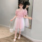 Girls' Dresses Children's Skirts Summer Dresses Western Style Princess Skirts Plaid Skirts Western Style Fashionable Mesh Dress