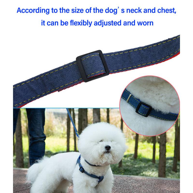 Pet SuppliesDog LeashesLarge Medium-sized Small DogsDog ChainsDog CollarsWalking Ropes