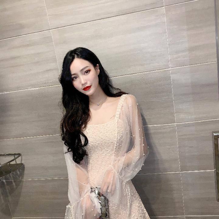 Spring Women's Temperament Mid-length Mesh Gauze Stitching Long Sleeves Waist Slimming Dress