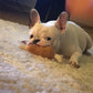 Double Bones Chicken Legs Cotton Toys Vocal Pet Dog Cat Toy Supplies Toy Dog Molar Puppies Medium Large Dog Bite Resistant Chewing Play Fun Toys