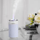 240ml Cans Indoor Air Humidifier Car Mini Sprayer USB Aroma Diffuser Mute Air Purifier