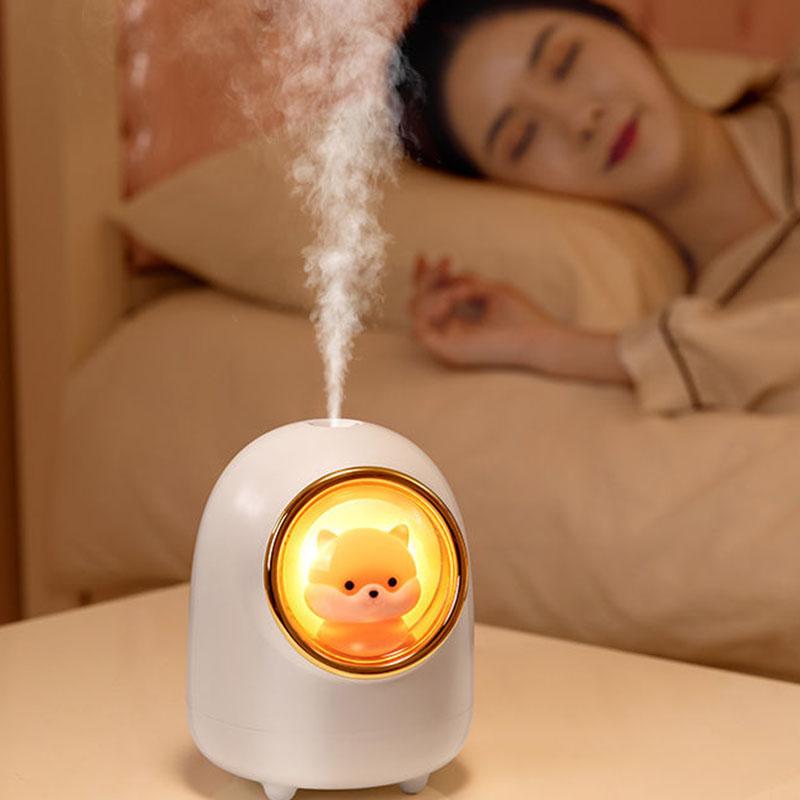 Humidifier Cute Pet Space Capsule Usb Charging Night Light Home Office Dormitory Wireless Mini Mute