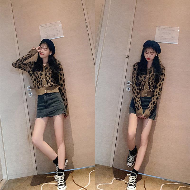 Spring and Autumn Leopard Print Knit Thin Jacket Slim Short Knit Casual Blouse