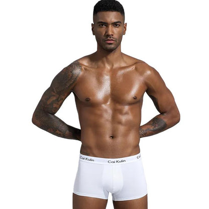 High-grade Cotton Men's Underwear Cotton Breathable Summer Thin Model Large Size Men's Shorts Flat Leggings
