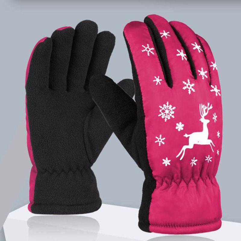 Winter Unisex Double-layer Plus Cotton Wool Gloves Thick Wear-resistant Windproof Riding Warm Waterproof Touch Screen Motorcycle Gloves
