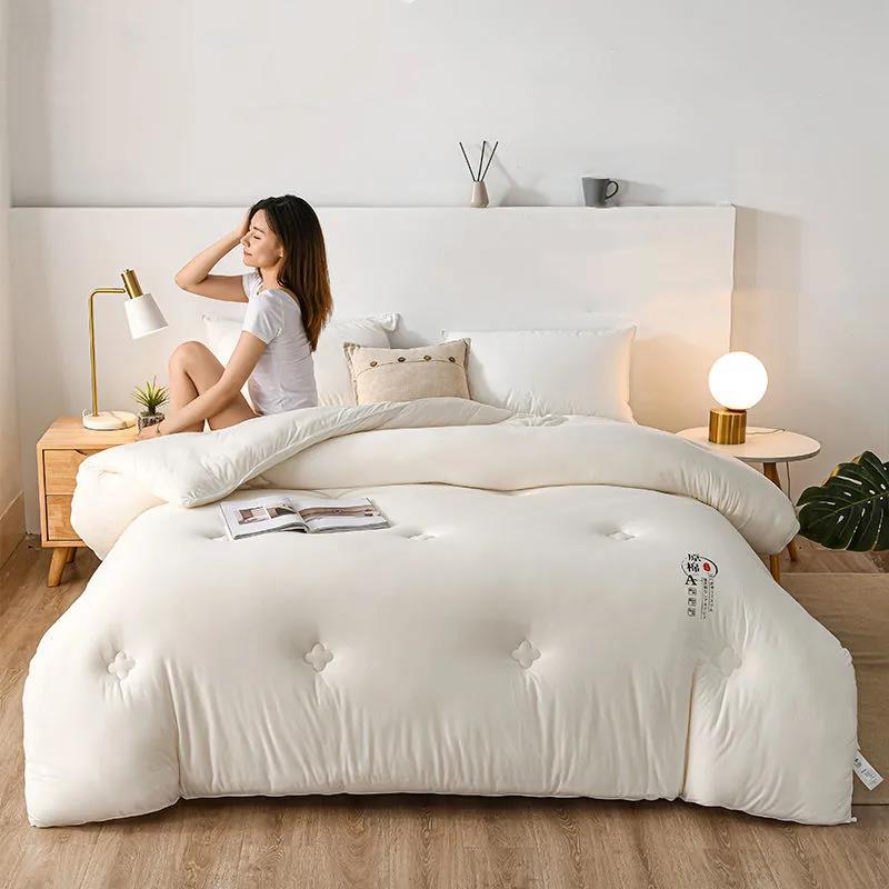 Skin-friendly Class A Antibacterial Soy Quilt Four Seasons Single Double Winter Quilt Core Spring and Autumn Was Taken By The Summer Dormitory