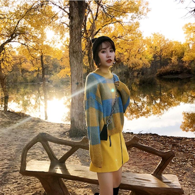 Autumn and Winter Loose Sweater Short Sweet Style Top Simple Loose Female Jacket