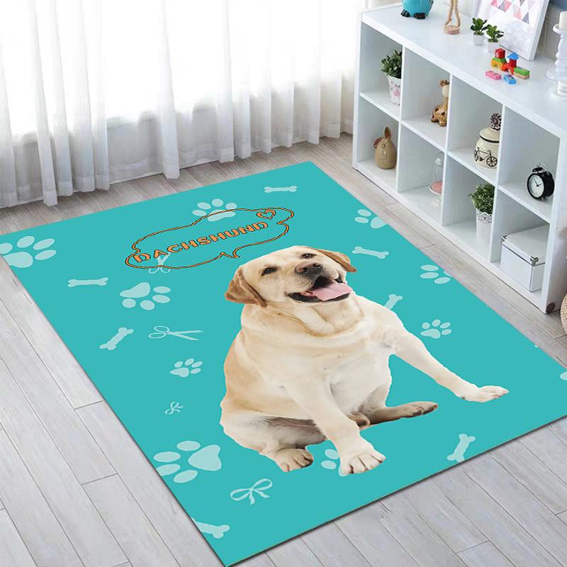 Pet-mat-paddle Dog Water Absorption Mat Cat Supplies Four Seasons Universal Spare Bite Anti-slip Carpet Floor Mat Sleep
