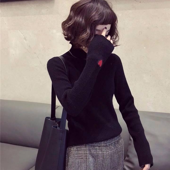 Women Embroidery Turtleneck Knitted Bottoming Shirt Slim Was Thin Wild Sweater Solid Color
