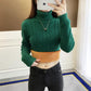 Fashion Slim sweater large size cold warm sweater turtleneck sweater female autumn and winter