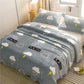 Single Layer Blankets Autumn and Winter Household Goods Flannel Sheets To Keep Warm Soft Sheets Blankets Thin Blanket