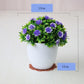 Office Desk Artificial Flower Furnishings Nordic Green Plants Hemisphere Potted Simulation Plant Ornaments Indoor and Outdoor Decoration