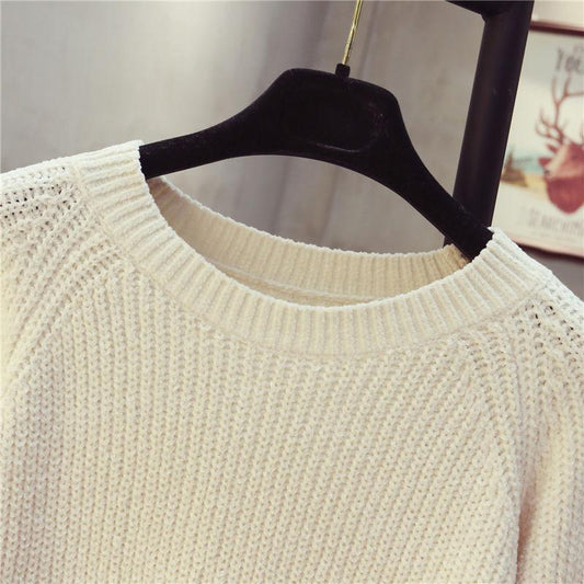 Autumn and Winter Fresh Style Bottoming Shirt Loose Knit Round Neck Jacket Fashion All-match Female Top