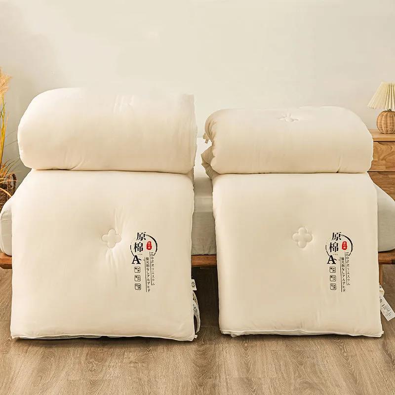 Skin-friendly Class A Antibacterial Soy Quilt Four Seasons Single Double Winter Quilt Core Spring and Autumn Was Taken By The Summer Dormitory