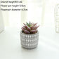 Artificial Flower Simulation Succulent Plant Potted Mini Green Plant Simulation Plant Small Flower Bonsai Desktop Restaurant Simulation Flower