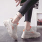 Shoes  Female Students Korean Version Wild Spring Mesh Old Sneakers Increased Sneakers Casual Shoes