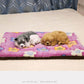 Pet Cushion Autumn and Winter Cat Thick Blanket Dog's Nest Mat Carcass Sleeping Cotton Quilt Warm Sleep Pad