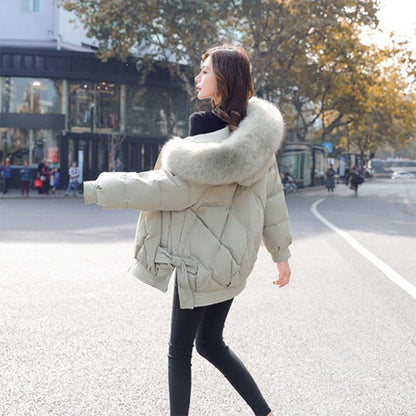Women's Solid Color Down Jacket Regular Korean Loose Thick Coat Warm Cotton Coat Big Fur Collar Winter Clothes Quilted Coat