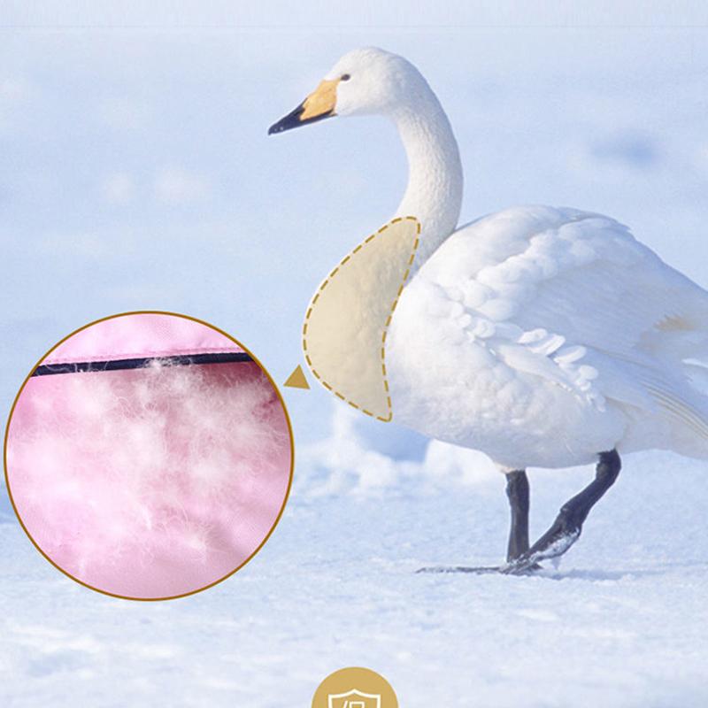 Cotton Down Quilt White Goose Down Thickened Warm Winter Quilt Double Quilt Core Dormitory Four Seasons Quilt