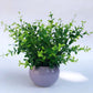 Artificial Flower Ceramic Set  Decorations Floral Art Fake Flowers Small Potted Plants Home Decorations Wedding Decoration