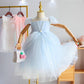Girls Net Yarn Dress Banquet Evening Dress Children's Birthday Party Western Style Fairy Princess Dress Girl